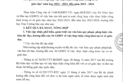 Trường Tiểu học Trực Cường _Báo cáo kết quả rà soát, tổng hợp việc thực hiện công khai trong cơ sở giáo dục  năm học 2022 – 2023, đầu năm 2023 – 2024